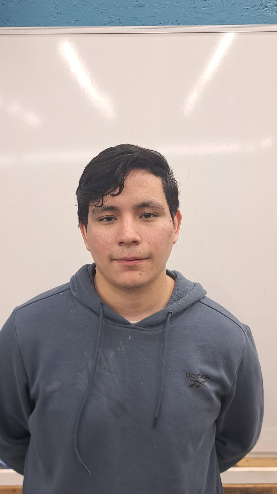 VLADIMIR ANDRES TORRES